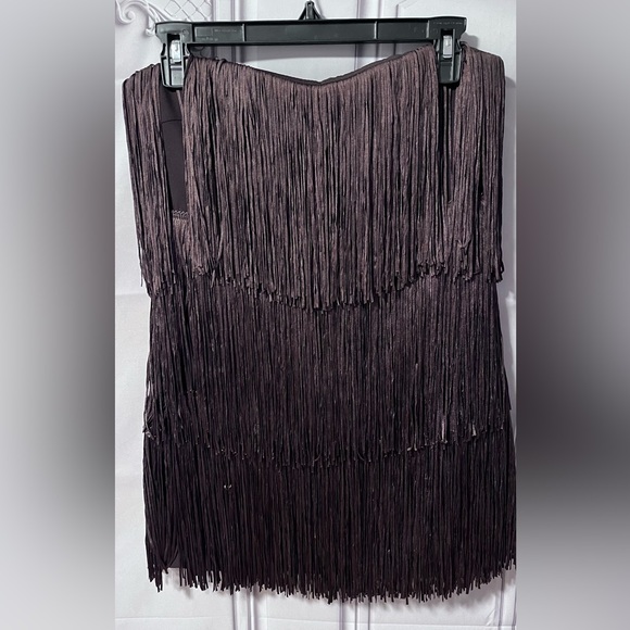 NWT ZARA VIRAL 2025 COLLECTION FRINGED STRAPLESS DRESS SIZE 
🚨FIRM PRICE - Picture 5 of 17